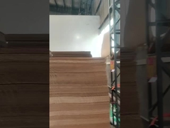 Impressora Slotter Die Cutter de Flexo